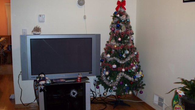 Ð½Ð°ÑˆÐ° Ñ‘Ð»Ð¾Ñ‡ÐºÐ°
