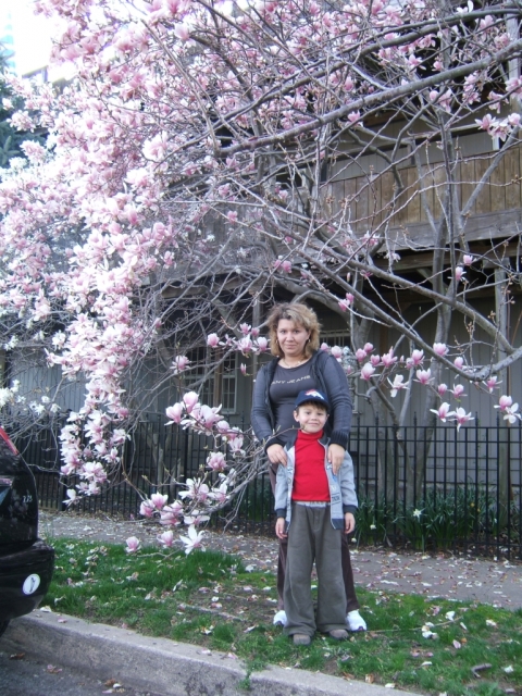 22.04.07
Ð² ÐºÑ€Ð°ÑŽ Ð¼Ð°Ð³Ð½Ð¾Ð»Ð¸Ð¹...
